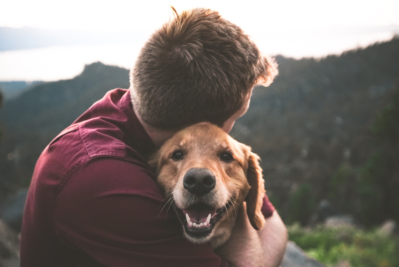 Pessoa abraçando o cão com carinho